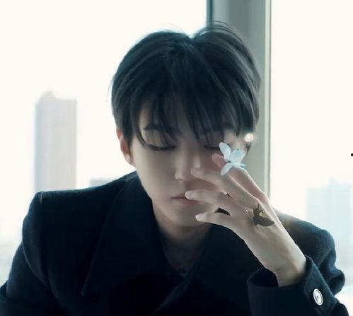 王俊凯录音爆料最新消息,揭秘娱乐圈惊人内幕！